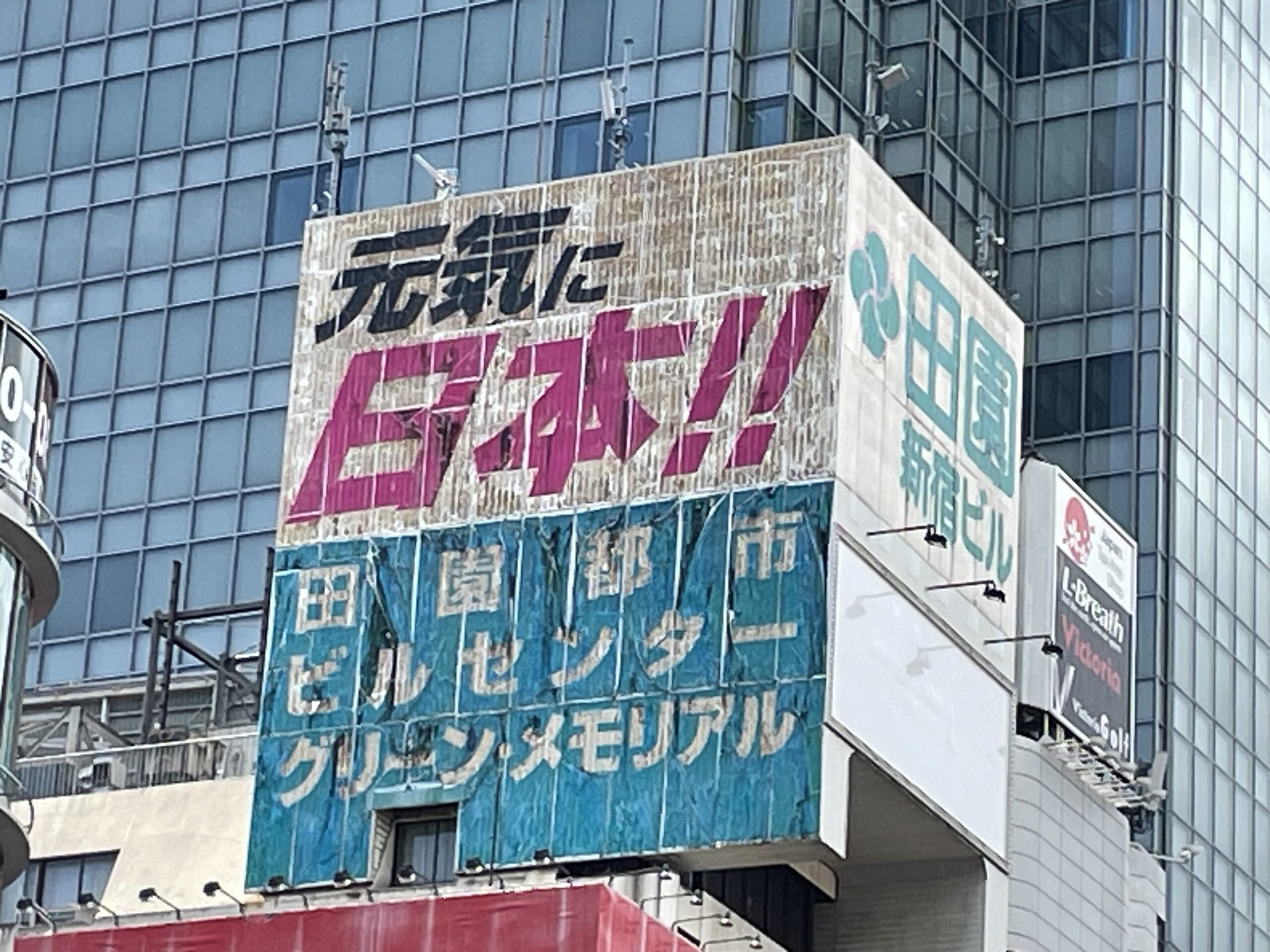 田園 新宿 ビル